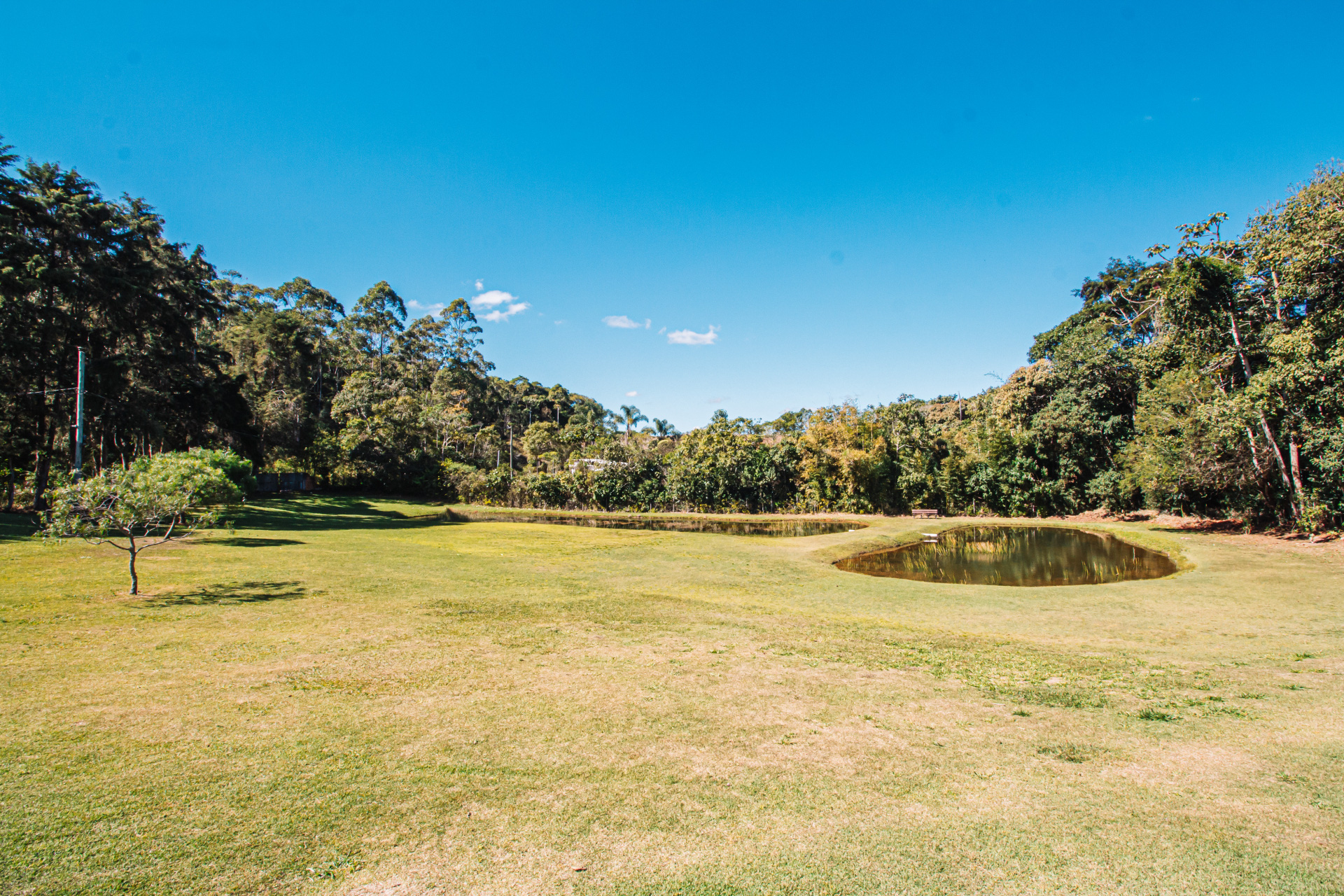 Cond. Bosque do Lago, foto 3