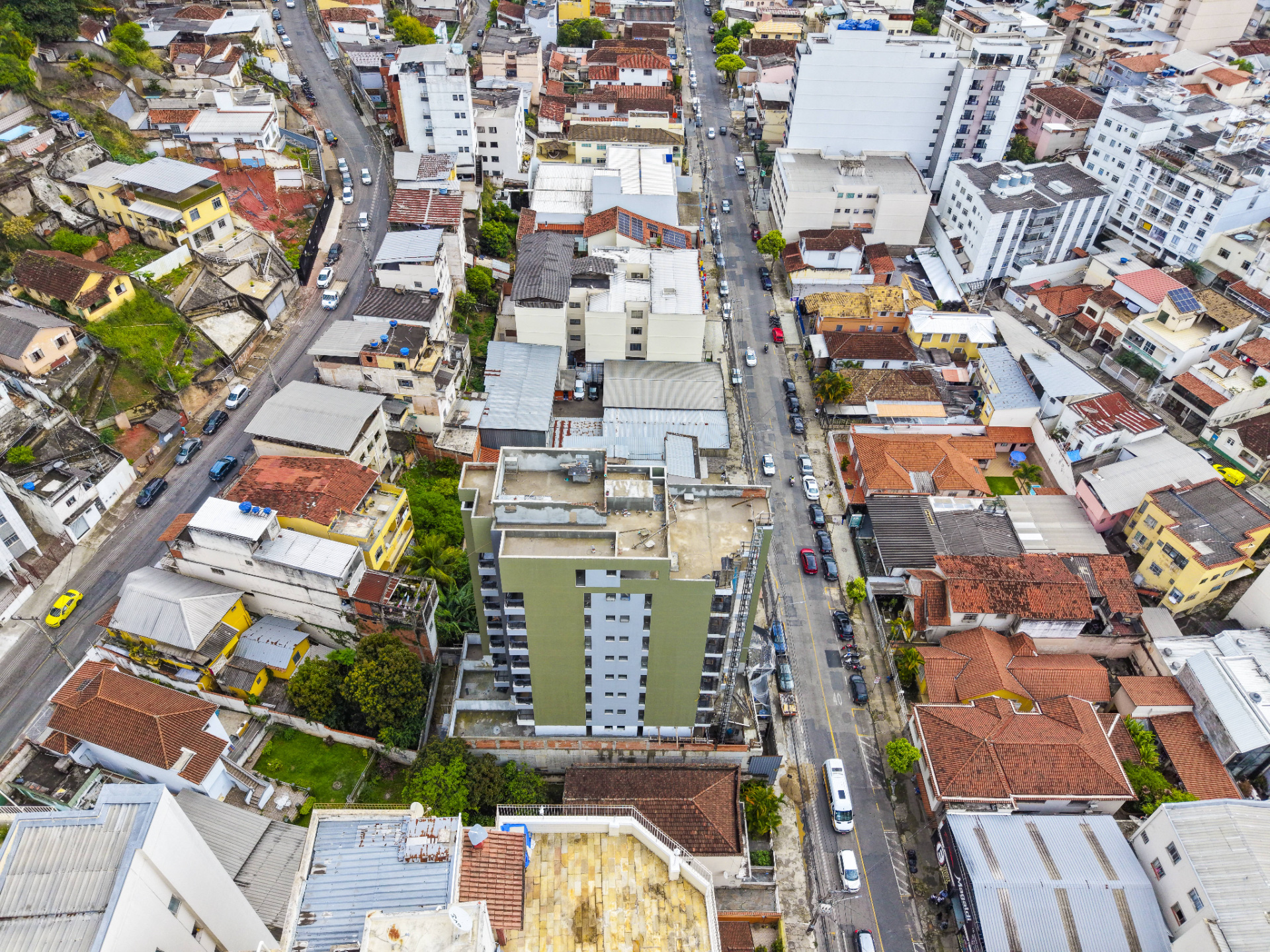 Catuaí, foto 8