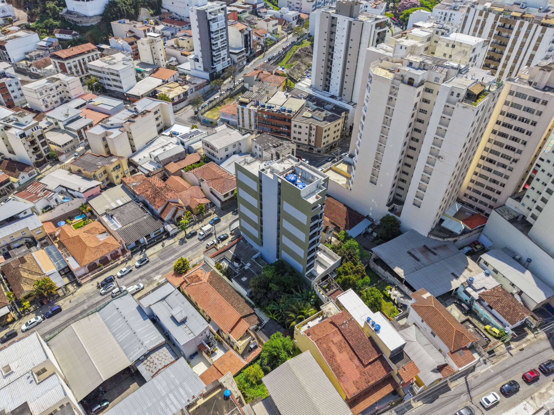 Catuaí, foto 17