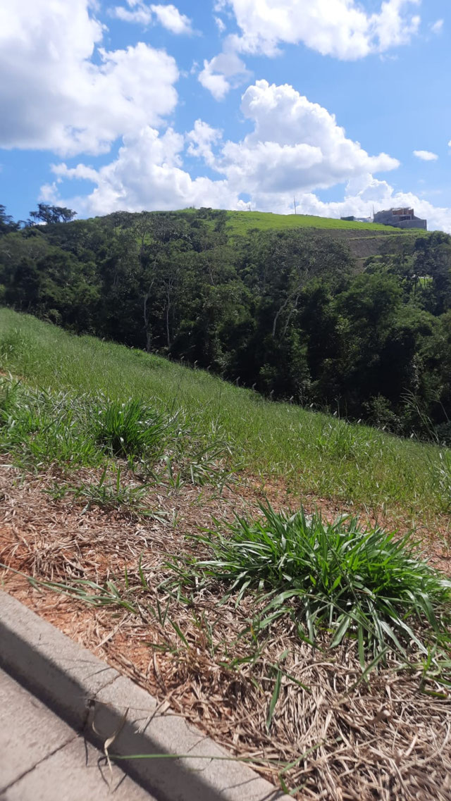 Foto cadastro cód. 135