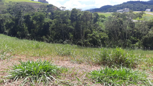 Foto cadastro cód. 135