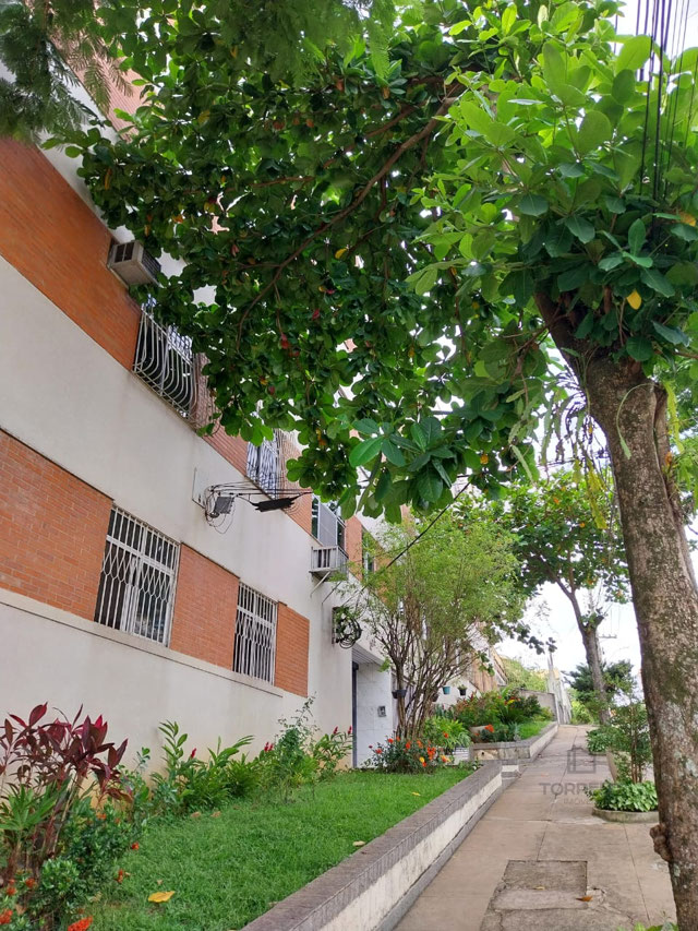 Foto cadastro cód. 227