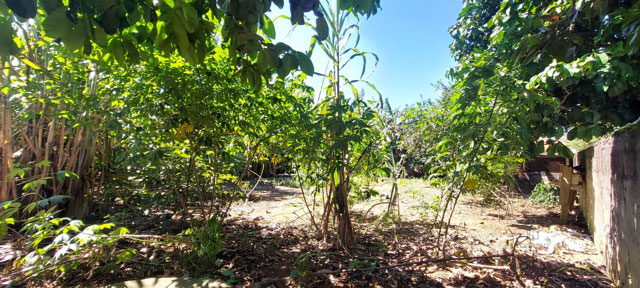 Foto cadastro cód. 231