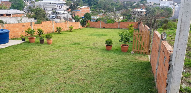 Foto cadastro cód. 384