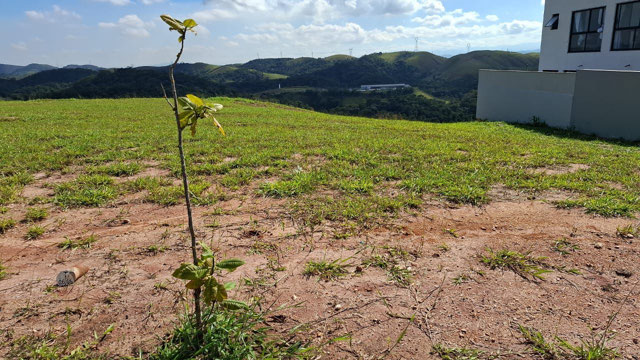 Foto cadastro cód. 640