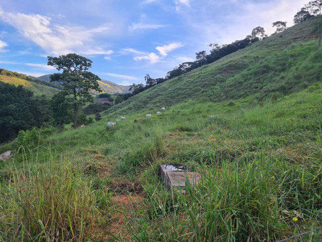 Foto cadastro cód. 1869