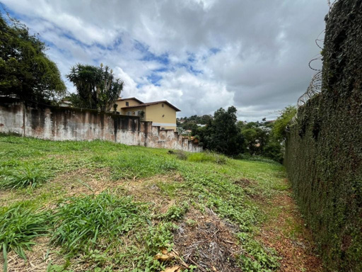 Foto cadastro cód. 10156