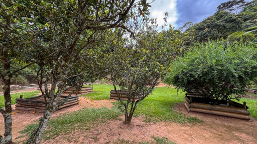 Foto cadastro cód. 10429