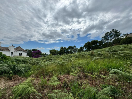 Foto cadastro cód. 10458