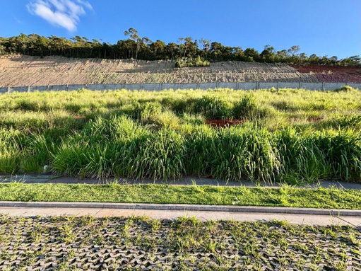 Foto cadastro cód. 10553