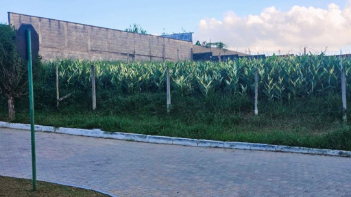 Foto cadastro cód. 10649