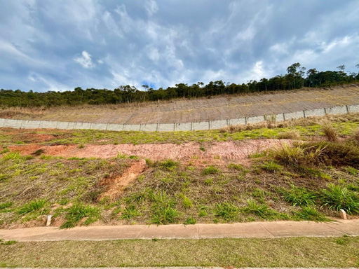 Foto cadastro cód. 11072