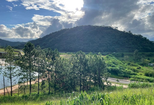 Foto cadastro cód. 11105