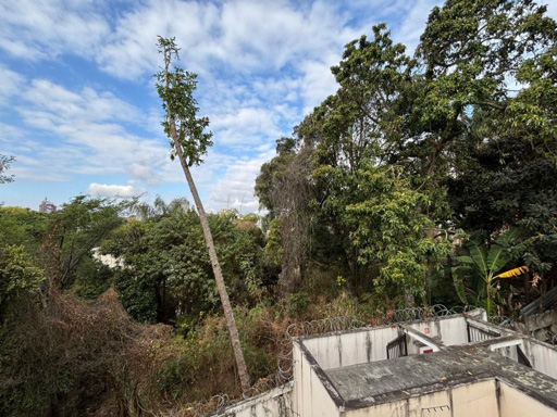 Foto cadastro cód. 11112