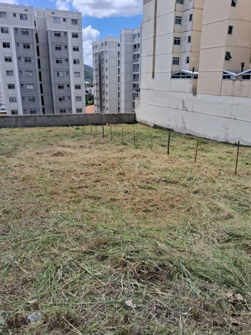 Foto cadastro cód. 11147