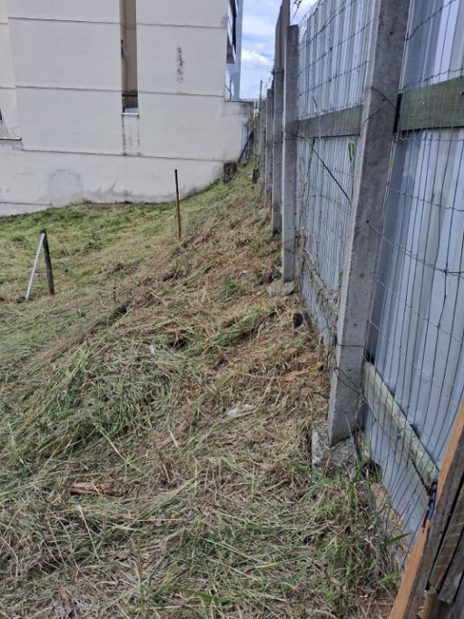 Foto cadastro cód. 11147