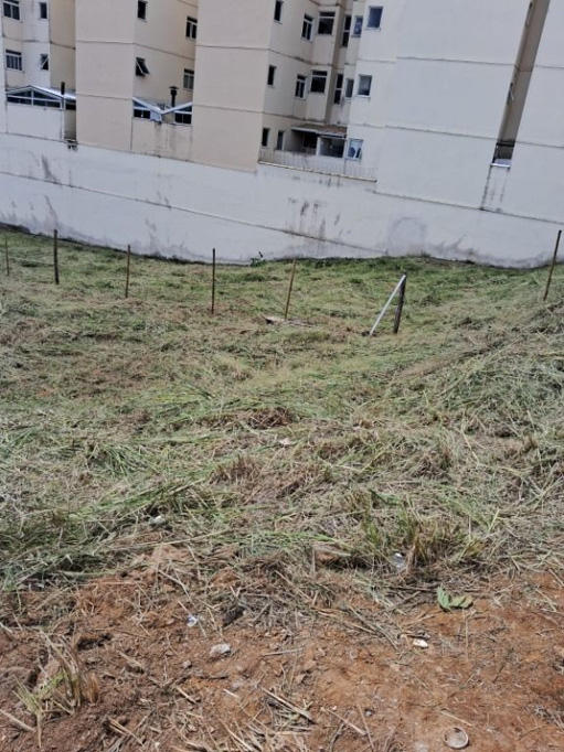 Foto cadastro cód. 11147