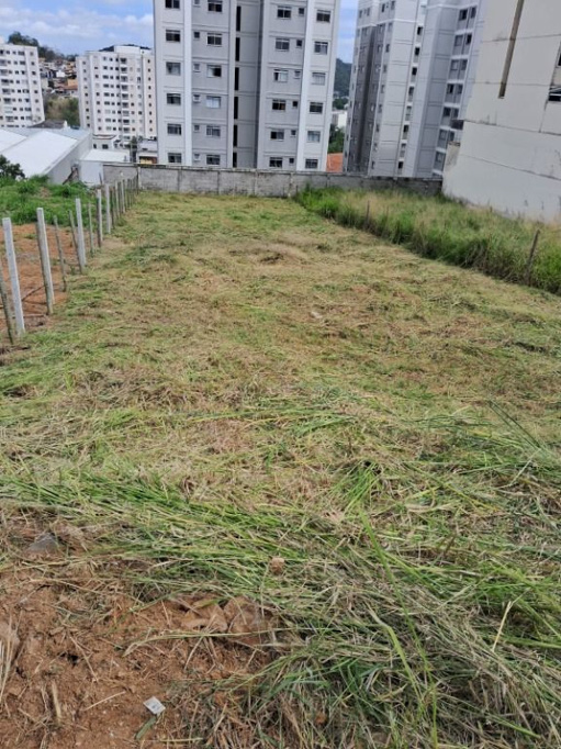 Foto cadastro cód. 11147