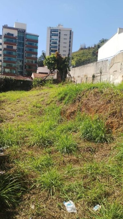 Foto cadastro cód. 11235