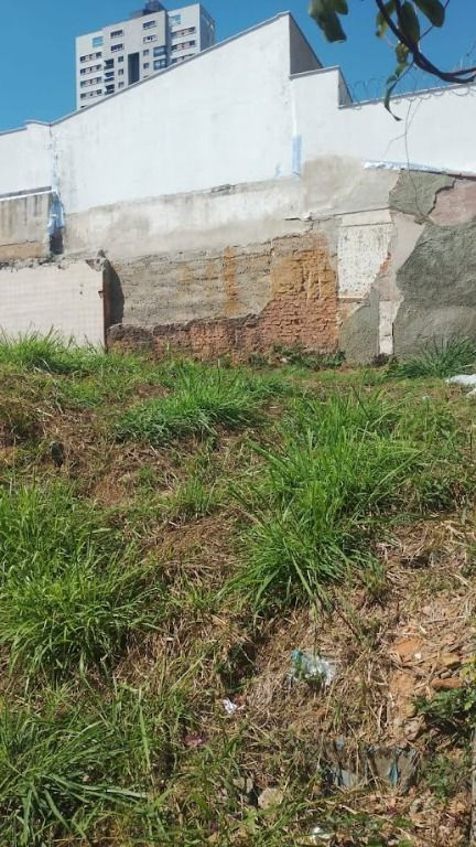 Foto cadastro cód. 11235