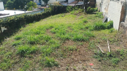 Foto cadastro cód. 11235