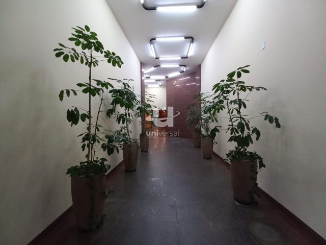 Foto cadastro cód. 11378