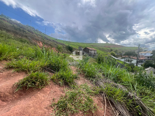 Foto cadastro cód. 11431