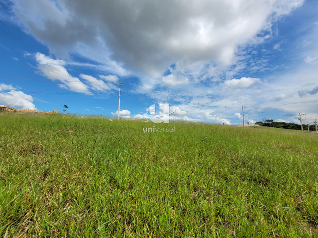 Foto cadastro cód. 11667