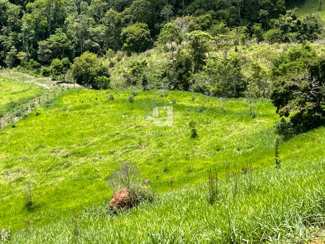 Foto cadastro cód. 11713