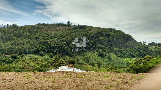 Foto cadastro cód. 11827