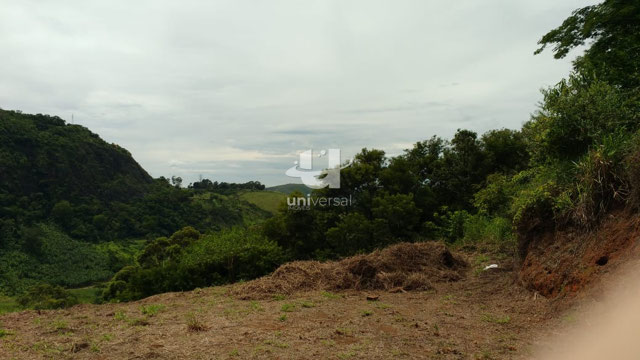 Foto cadastro cód. 11827