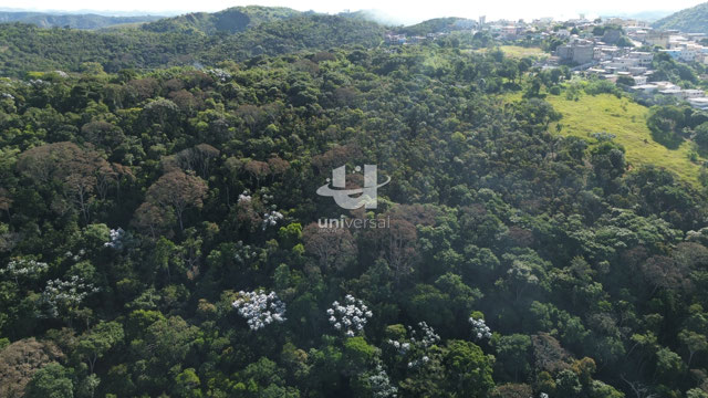 Foto cadastro cód. 11838