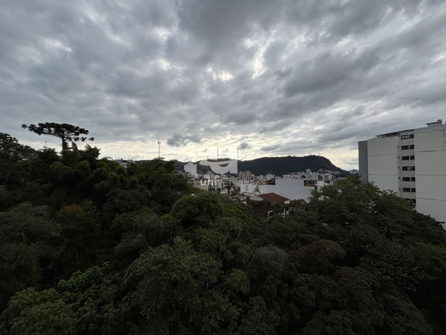 Vista