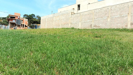 Foto cadastro cód. 6446