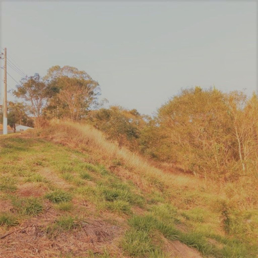 Foto cadastro cód. 7448