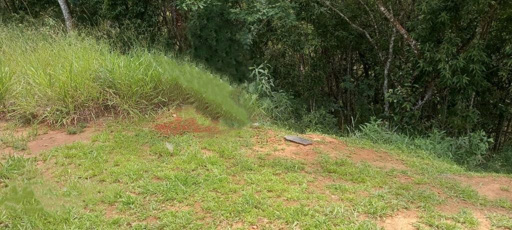 Foto cadastro cód. 7657