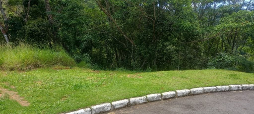 Foto cadastro cód. 7657