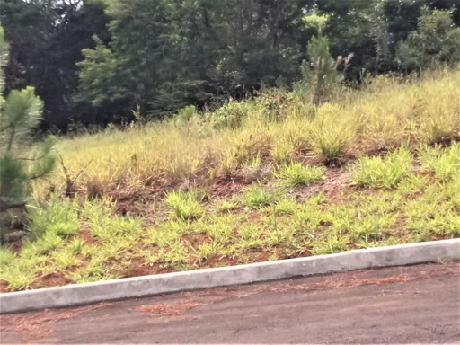 Foto cadastro cód. 7976