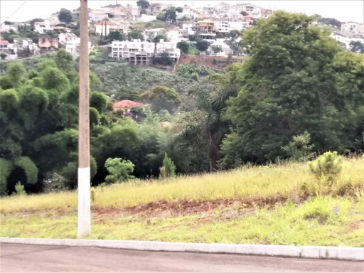 Foto cadastro cód. 7976