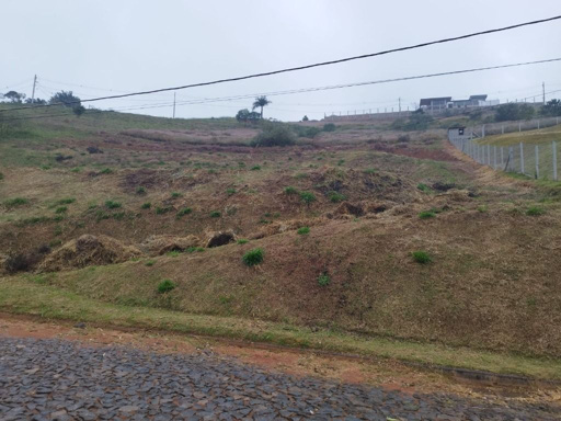 Foto cadastro cód. 8083