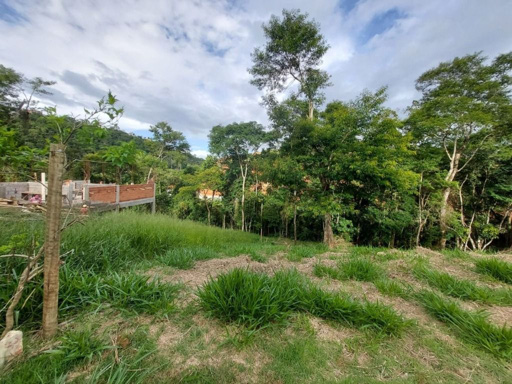 Foto cadastro cód. 8150