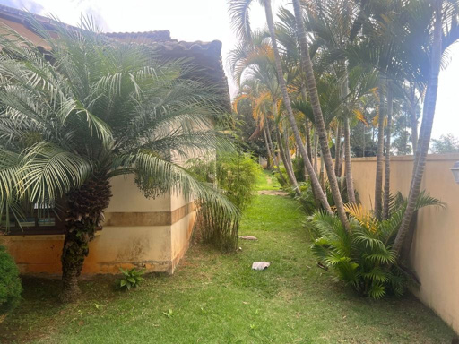 Foto cadastro cód. 8209