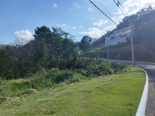 Foto cadastro cód. 8290