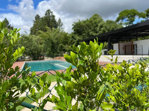 Foto cadastro cód. 9128