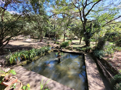 Foto cadastro cód. 9305