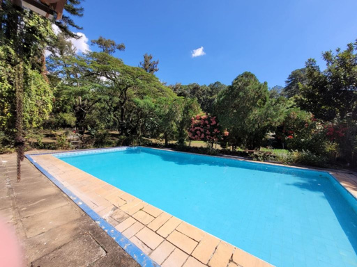 Foto cadastro cód. 9305