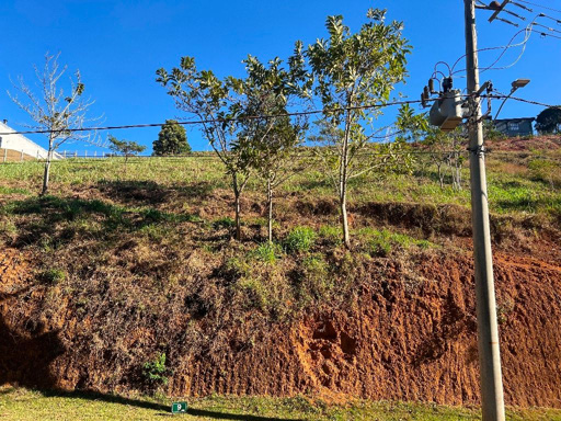 Foto cadastro cód. 9469