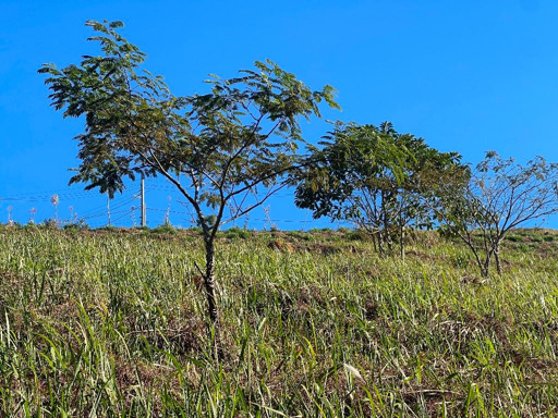 Foto cadastro cód. 9469