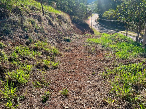 Foto cadastro cód. 9469