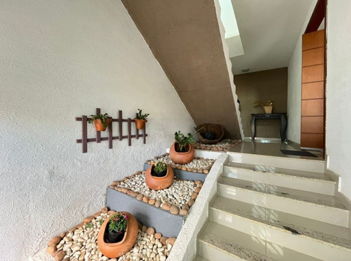 Foto cadastro cód. 9602